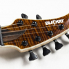 UltimateGuitar profile picture for @LQH